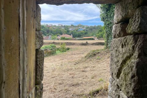 Farm hus i Serrazes, Viseu, Serrazes - € 185.000 | Ref: C0406-01530 - foto 43