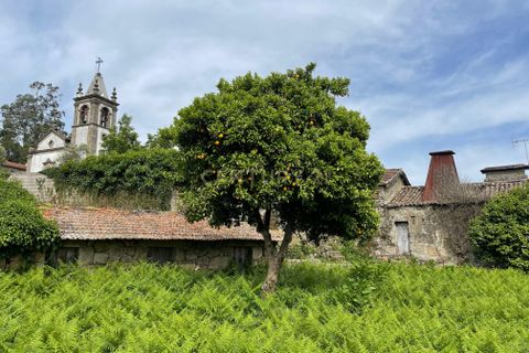 Farm hus i Serrazes, Viseu, Serrazes - € 185.000 | Ref: C0406-01530 - foto 45
