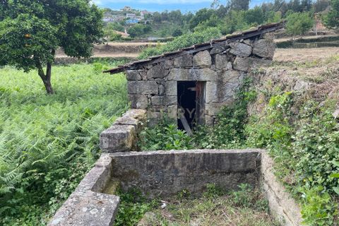 Farm hus i Serrazes, Viseu, Serrazes - € 185.000 | Ref: C0406-01530 - foto 46