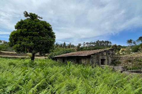 Farm hus i Serrazes, Viseu, Serrazes - € 185.000 | Ref: C0406-01530 - foto 47