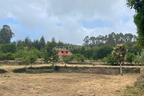 Farm hus i Serrazes, Viseu, Serrazes - € 185.000 | Ref: C0406-01530 - foto 49