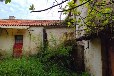 Villa i Espinho, Aveiro, Espinho - € 159.000 | Ref: C0406-01797 - foto 11