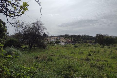 Villa i Espinho, Aveiro, Espinho - € 159.000 | Ref: C0406-01797 - foto 23