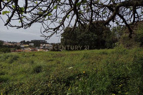 Villa i Espinho, Aveiro, Espinho - € 159.000 | Ref: C0406-01797 - foto 24