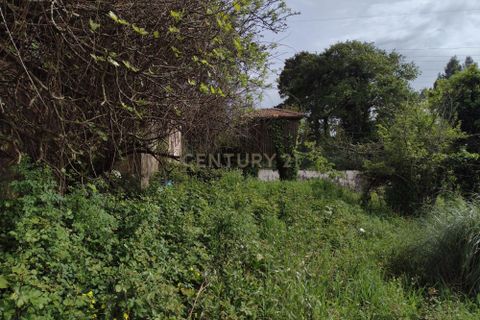 Villa i Espinho, Aveiro, Espinho - € 159.000 | Ref: C0406-01797 - foto 25