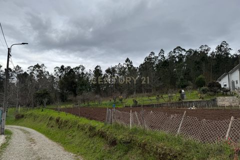 Terra a Sandim, Porto, Sandim - € 69.750 | Ref: C0406-02180 - foto 2