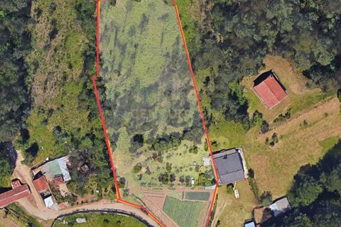 Terra a Sandim, Porto, Sandim - € 69.750 | Ref: C0406-02180 - foto 3