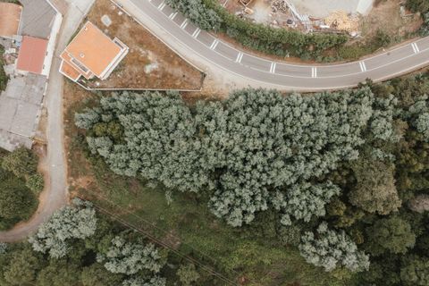 Terra a Melres e Medas, Porto, Melres e Medas - € 85.900 | Ref: C0406-02335 - foto 2