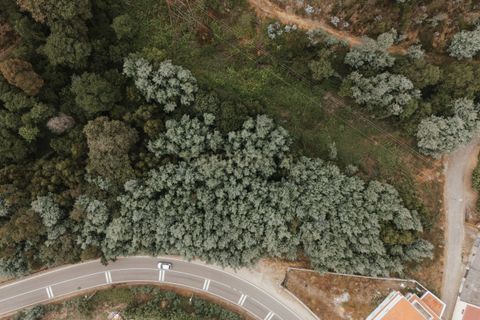 Terra a Melres e Medas, Porto, Melres e Medas - € 85.900 | Ref: C0406-02335 - foto 4