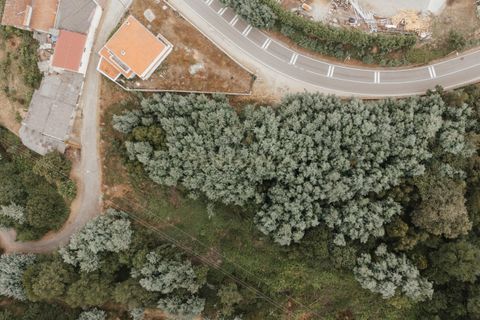 Terra a Melres e Medas, Porto, Melres e Medas - € 85.900 | Ref: C0406-02335 - foto 5