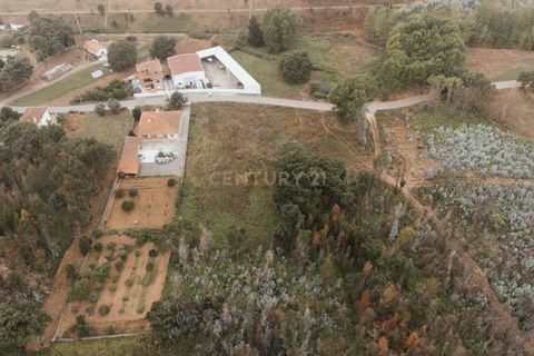 Terra a Melres e Medas, Porto, Melres e Medas - € 239.900 | Ref: C0406-02336 - foto 2