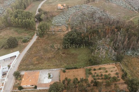 Terra a Melres e Medas, Porto, Melres e Medas - € 239.900 | Ref: C0406-02336 - foto 3