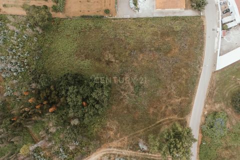 Terra a Melres e Medas, Porto, Melres e Medas - € 239.900 | Ref: C0406-02336 - foto 5