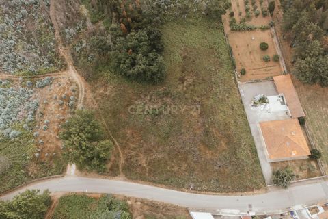 Terra a Melres e Medas, Porto, Melres e Medas - € 239.900 | Ref: C0406-02336 - foto 6