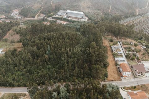Terra a Melres e Medas, Porto, Melres e Medas - € 89.000 | Ref: C0406-02337 - foto 3