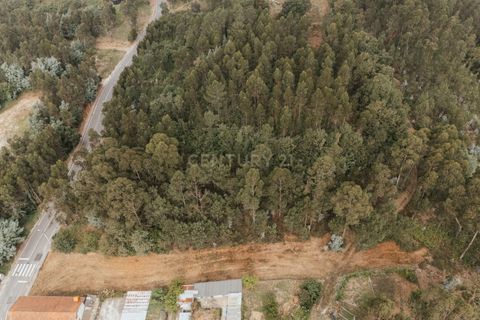 Terra a Melres e Medas, Porto, Melres e Medas - € 89.000 | Ref: C0406-02337 - foto 4