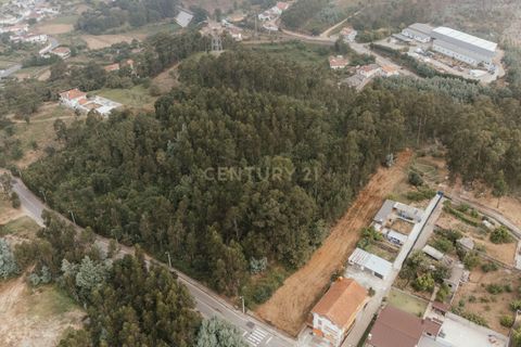 Terra a Melres e Medas, Porto, Melres e Medas - € 89.000 | Ref: C0406-02337 - foto 6