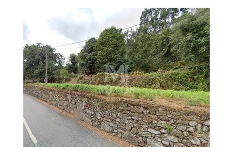 Helårsgrund i Barcelos, Braga, Barcelos - € 215.000 | Ref: S211 - foto 1