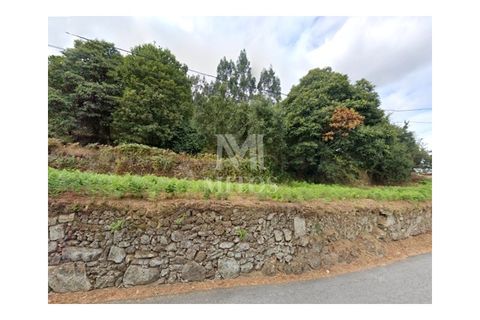 Helårsgrund i Barcelos, Braga, Barcelos - € 215.000 | Ref: S211 - foto 3