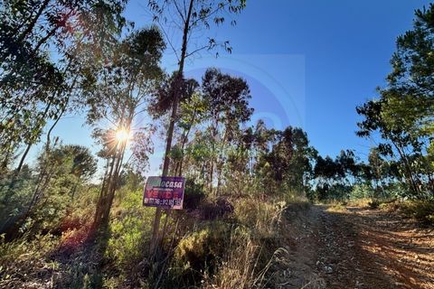 Helårsgrund i Tomar, Santarem, Tomar - € 15.000 | Ref: T 316 - foto 6