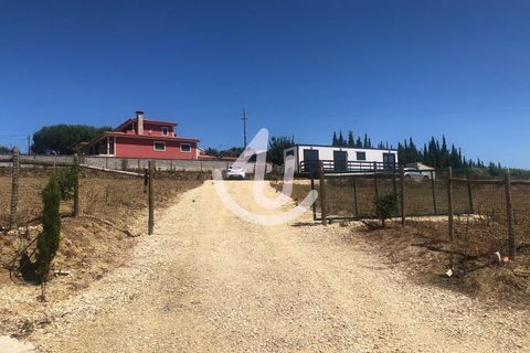 Helårsgrund i Alcobaca, Leiria, Alcobaca - € 115.000 | Ref: S4U132-V97 - foto 25