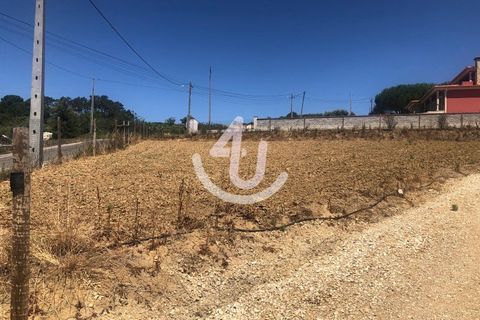 Helårsgrund i Alcobaca, Leiria, Alcobaca - € 115.000 | Ref: S4U132-V97 - foto 26