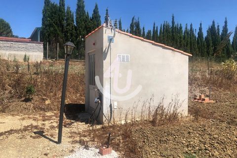 Helårsgrund i Alcobaca, Leiria, Alcobaca - € 115.000 | Ref: S4U132-V97 - foto 29
