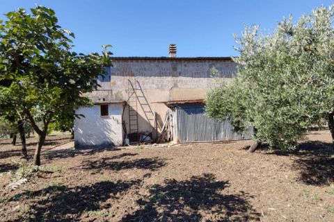 Landejendom i Eboli, Salerno, Eboli - € 100.000 | Ref: 552 - foto 1