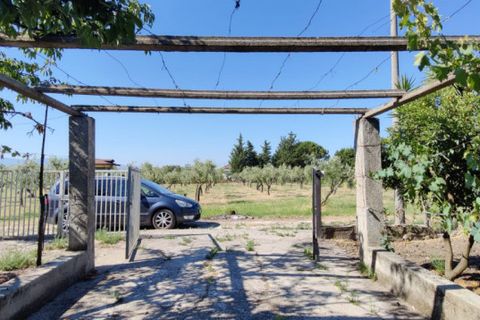 Landejendom i Eboli, Salerno, Eboli - € 100.000 | Ref: 552 - foto 6