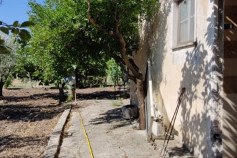 Landejendom i Eboli, Salerno, Eboli - € 100.000 | Ref: 552 - foto 18