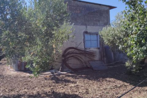 Landejendom i Eboli, Salerno, Eboli - € 100.000 | Ref: 552 - foto 26