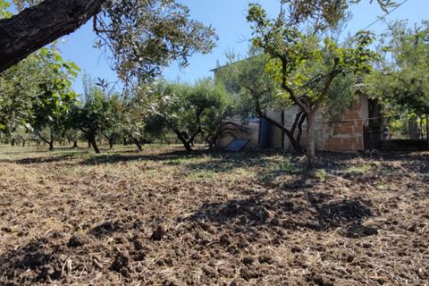 Landejendom i Eboli, Salerno, Eboli - € 100.000 | Ref: 552 - foto 28