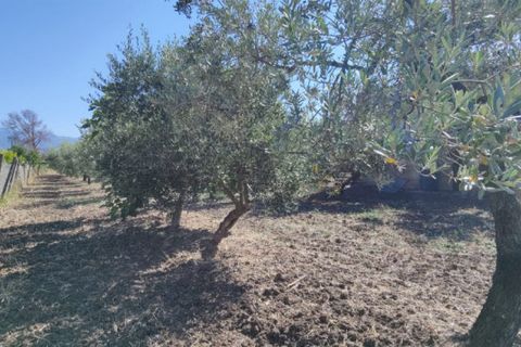 Landejendom i Eboli, Salerno, Eboli - € 100.000 | Ref: 552 - foto 31