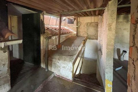 Villa i Abrantes, Santarem, Abrantes - € 90.000 | Ref: 01593-25 - foto 18