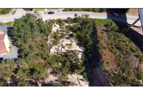 Helårsgrund i Ourem, Santarem, Ourem - € 18.500 | Ref: 01587-25 - foto 2