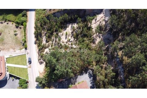 Helårsgrund i Ourem, Santarem, Ourem - € 18.500 | Ref: 01587-25 - foto 1