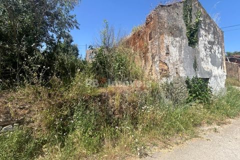 Landejendom i Tomar, Santarem, Tomar - € 60.000 | Ref: 01595-25 - foto 5