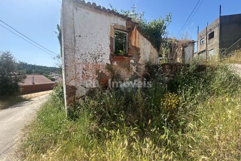 Landejendom i Tomar, Santarem, Tomar - € 60.000 | Ref: 01595-25 - foto 6