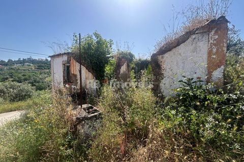 Landejendom i Tomar, Santarem, Tomar - € 60.000 | Ref: 01595-25 - foto 7