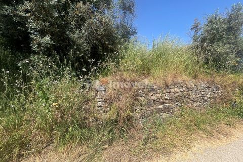 Landejendom i Tomar, Santarem, Tomar - € 60.000 | Ref: 01595-25 - foto 8
