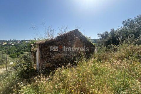 Landejendom i Tomar, Santarem, Tomar - € 60.000 | Ref: 01595-25 - foto 9