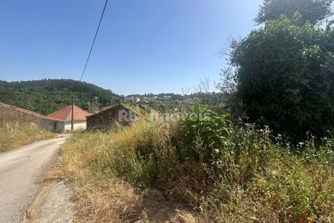 Landejendom i Tomar, Santarem, Tomar - € 60.000 | Ref: 01595-25 - foto 10