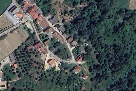 Landejendom i Tomar, Santarem, Tomar - € 60.000 | Ref: 01595-25 - foto 13