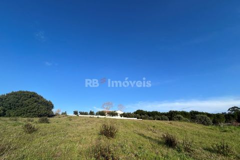 Helårsgrund i Tomar, Santarem, Tomar - € 37.500 | Ref: 01445-25 - foto 1