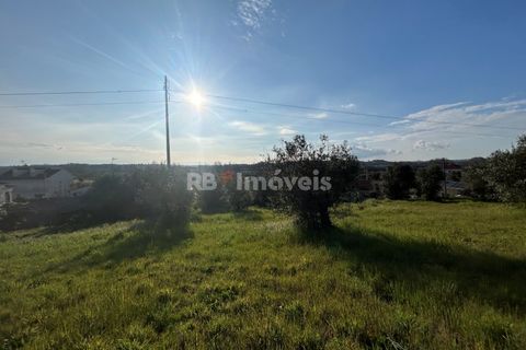 Helårsgrund i Tomar, Santarem, Tomar - € 37.500 | Ref: 01445-25 - foto 2