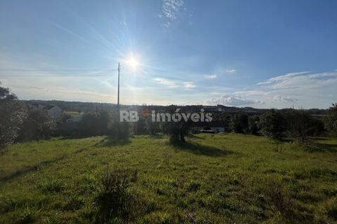Helårsgrund i Tomar, Santarem, Tomar - € 37.500 | Ref: 01445-25 - foto 3