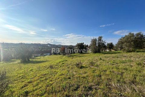 Helårsgrund i Tomar, Santarem, Tomar - € 37.500 | Ref: 01445-25 - foto 4