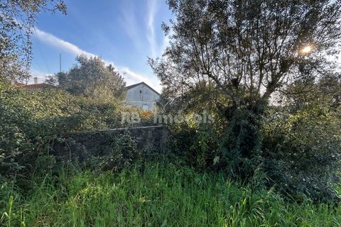 Helårsgrund i Tomar, Santarem, Tomar - € 37.500 | Ref: 01445-25 - foto 6
