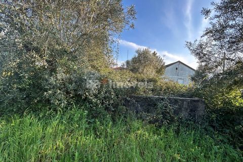 Helårsgrund i Tomar, Santarem, Tomar - € 37.500 | Ref: 01445-25 - foto 7