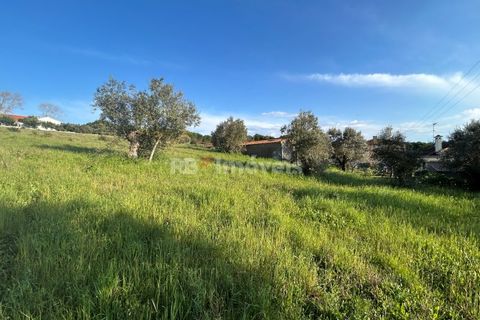 Helårsgrund i Tomar, Santarem, Tomar - € 37.500 | Ref: 01445-25 - foto 8